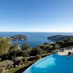 The View