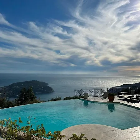 The View
